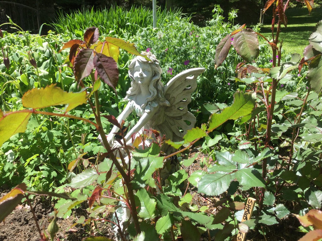 5C4A5452-50B6-4E4C-B6C6-D8B11F9957E0