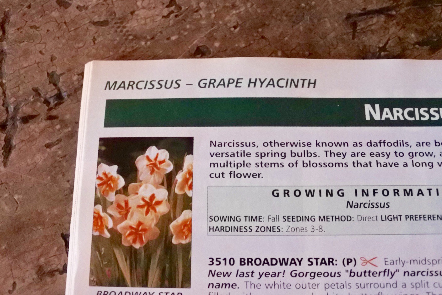 5094FE0A-6685-4603-BB20-97A2E51A76ED